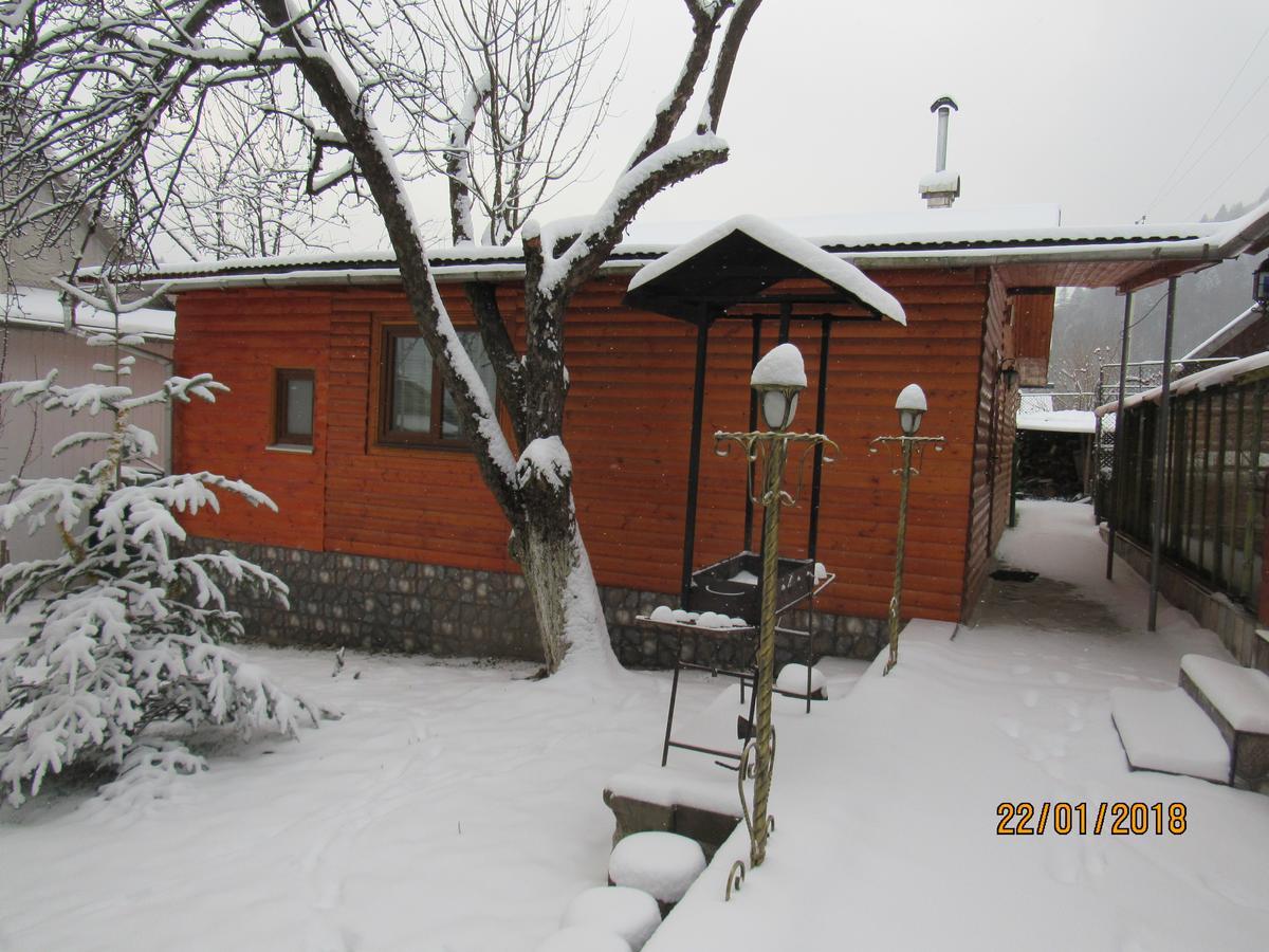 Villa Kotiedzh U Mariny Yaremche Exterior foto